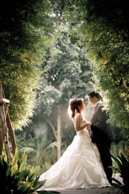 Bir yaz üzerinde romantik anları outsides zevk düğün çift. Düğünlerinde mutlu bir gelin ve damat. Güzel genç düğün çift doğada outsides. Vanlentine background için fotoğraf