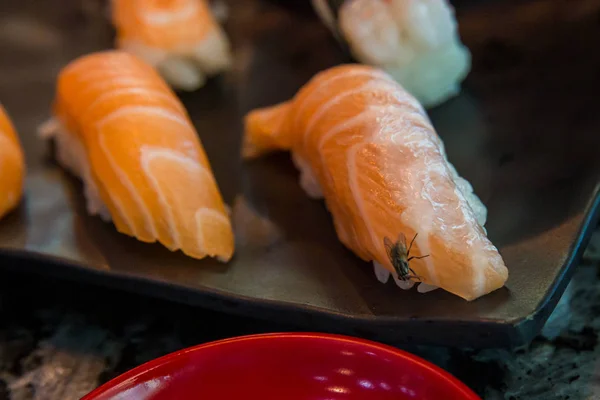 Vuela Con Salmón Sushi Mosca Comer Salmón Pescado Portador Enfermedades —  Fotos de Stock