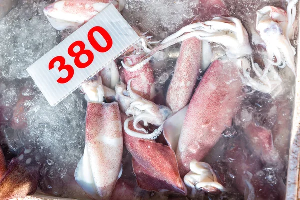 Fresh squid on the market for sale. White raw squid seafood in fresh market. Raw Octopus Fish on Ice for Sale. Defrosted squid on ice for sale, Fish local market stall with fresh and defrosted seafood