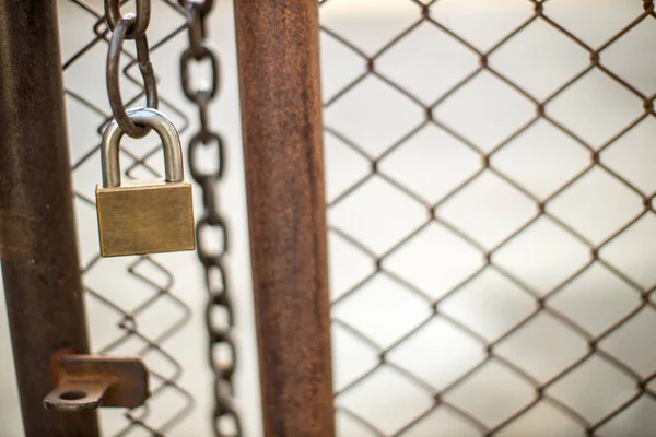 Verriegelung Einem Maschendrahtzaun Maschendrahtzauntor Ist Mit Kette Und Vorhängeschloss Verschlossen — Stockfoto