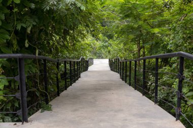 Ormana çimento köprüsü. Çimentola inşa edilmiş köprü Orman yürüyüş yolları için