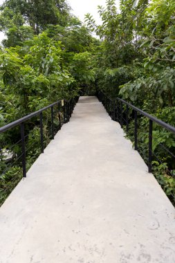 Ormana çimento köprüsü. Çimentola inşa edilmiş köprü Orman yürüyüş yolları için