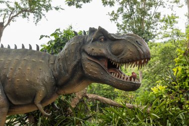 Tehlikeli tarih öncesi dinozorlar Tyrannosaurus Rex, vahşi yaşamda T-rex. Ormandaki Tyrannosaurus Rex (T-Rex) başkanı. Orman parkında dinozor heykeli , doğada dinozor heykeli görüntü arka plan