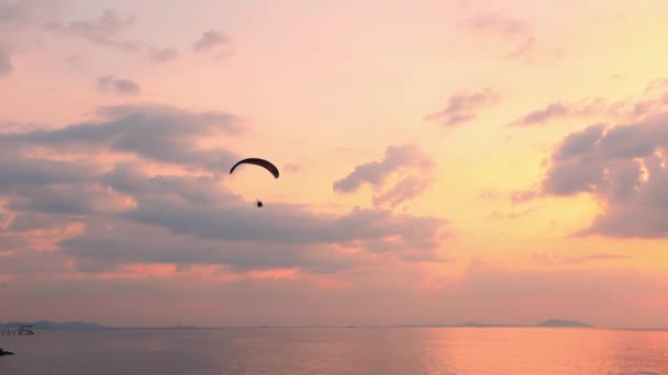 男人在蔚蓝的天空和美妙的海滩上飞舞 被情妇的红色风筝 极端的活动港 像鸟儿一样感到自由 概念超越人类生理学的限制 — 图库视频影像