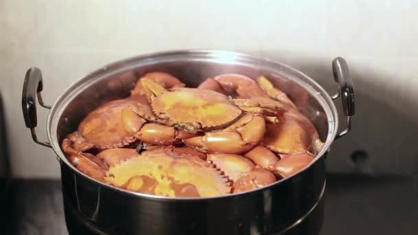 手を開いてカバーポット鍋にカニ蒸し 生きたカニを鍋に入れる上海毛ガニ 中華料理を蒸し 蒸しカニ 中国のシーフード屋台 — ストック動画