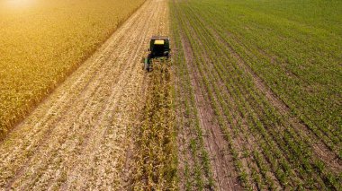 Mısır tarlalarında hava manzaralı biçerdöverler çalışıyor. Havadan tarlalar hasat ediliyor. Geniş buğday tarlasında çalışan kombinasyonun hava görüntüsü. Tatlı mısırla doldurulmuş mısırla birleştir.