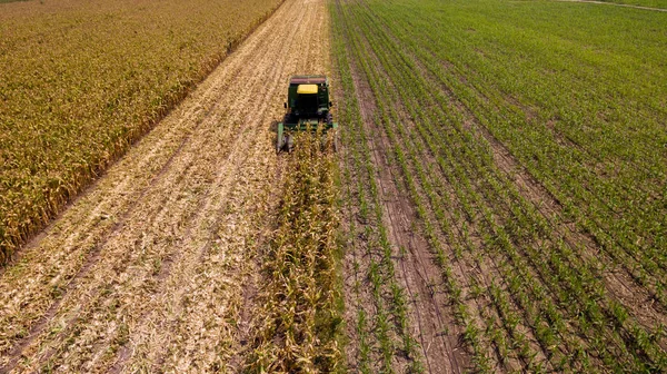 空中ビューコンバイン収穫機はトウモロコシ畑で働いています 収穫フィールドスカイライン空中 大規模な小麦畑での作業の組み合わせの空中ビュー 提出された甘いコーンとロードされた組み合わせ — ストック写真