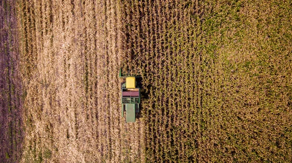 Flygvy Kombinera Skördare Arbetar Majsfält Skördar Åkrar Skyline Aerial Flygfoto — Stockfoto