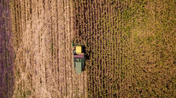 Aerial View Combine Harvesters Working Corn Fields Harvesting Fields Skyline — Stock Photo, Image