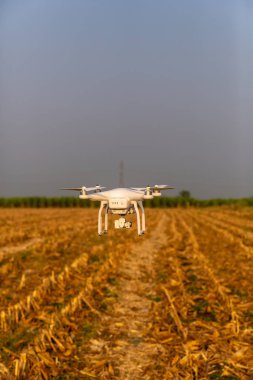 Tarım aracı hasat mevsiminden sonra gökyüzünde ve çiftlikte uçar. Çiftçi hasat mevsiminden sonra mısır tarlalarını incelemek için insansız hava aracı kullanıyor. Tarımda modern teknoloji.