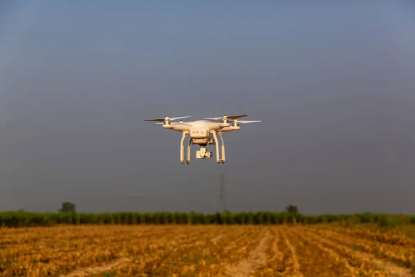Agriculture drone fly on sky and farm after harvest season . Farmer use drone for inspect of crop on corn fields after harvest season. Modern technology in agriculture.