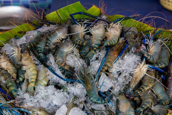 Seafood Fresco Parte Animal Mar Rio Camarão Com Gelo Bandeja — Fotografia de Stock