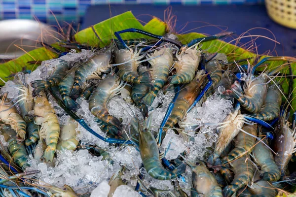 Fresh seafood part animal from the sea, River shrimp with iced on tray. Fresh seafood giant freshwater prawn or river shrimp on ice.