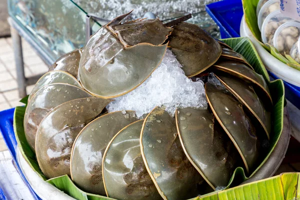 Många Färska Hallickar Säljs Marknaden För Skaldjur Thailändsk Mat Kryddig — Stockfoto