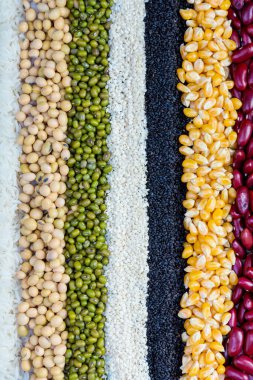 Tahta arka planda tahıl tohumları. Tam tahıl ve fasulye. Mısır gevreği ve fasulye. Sağlıklı beslenmek için farklı kuru baklagiller.
