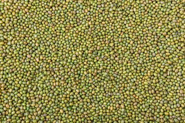 Mung fasulyesi geçmişi. Tasarım için yeşil fasulye tohumu. Çiftlikten toplanan kuru organik fasulye arkaplanının üst görüntüsü.