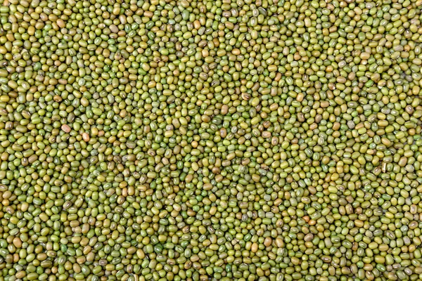 Mung fasulyesi geçmişi. Tasarım için yeşil fasulye tohumu. Çiftlikten toplanan kuru organik fasulye arkaplanının üst görüntüsü.