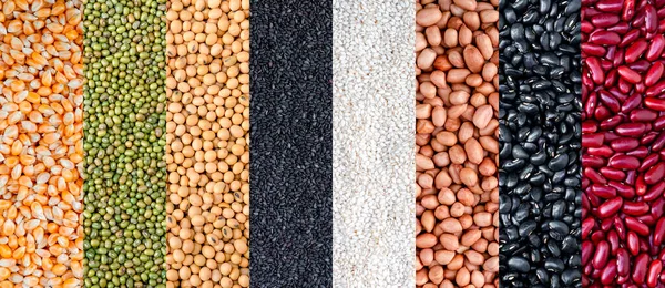Arkaplan için çok renkli kurumuş baklagiller. Sağlıklı beslenmek için farklı kuru fasulye. Çeşitli fasulyeler. Arkaplan için çok renkli kurumuş baklagiller.