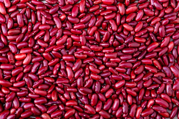 Fasulye arkaplanı. Kırmızı fasulye tohumu. Adzuki fasulye arkaplanı. Yukarıdan gelen kırmızı fasulye yığını.