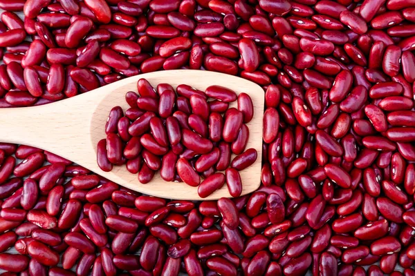 Fondo Frijoles Rojos Semillas Judías Rojas Fondo Frijol Adzuki Montón — Foto de Stock