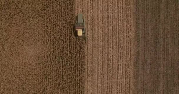 空中观察联合收割机正在玉米地里工作 — 图库视频影像