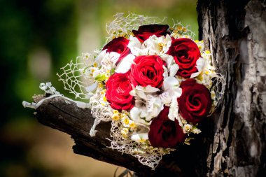 Mutlu gelin ve damat düğün kucaklaşmalarında