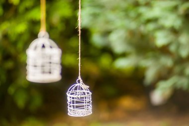 Düğün dekorasyonu, işaret, yaz, kol, sırt, kavramlar, kucaklayan, sağlık