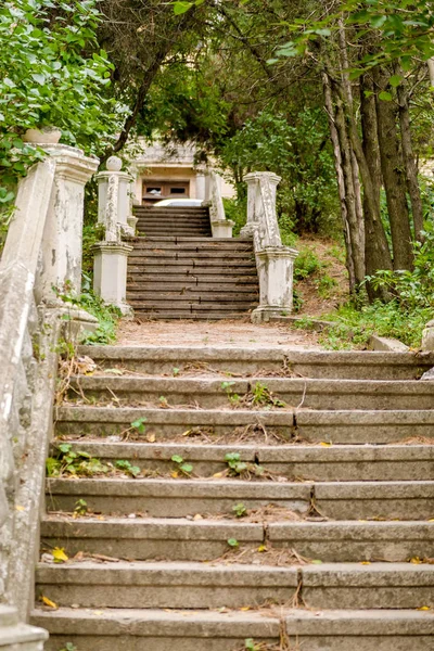 Gün batımında dağlar. Yaz mevsiminde güzel doğal manzara Telifsiz Stok Fotoğraflar