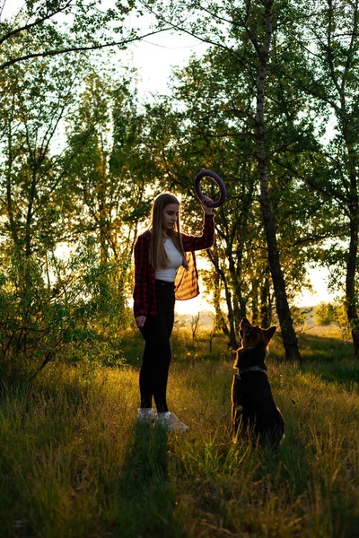 Happy Blonde Girl Played Raising Dog Dog Shepherd Female Friend — Stock Photo, Image