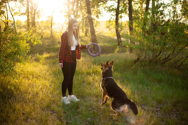 Happy Blonde Girl Played Raising Dog Dog Shepherd Female Friend — Stock Photo, Image