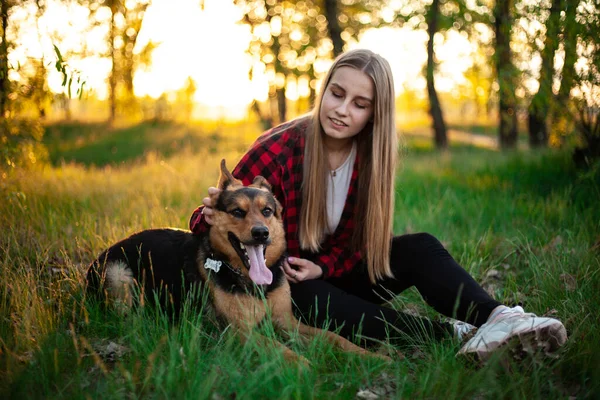 Happy blonde girl is played with a dog. Girl hugs a dog sitting on the grass. Dog Shepherd, female. Friend dog. Outdoor photo shoot at sunset