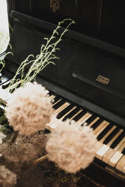 Close Piano Keyboard Blurred Background — Stock Photo, Image