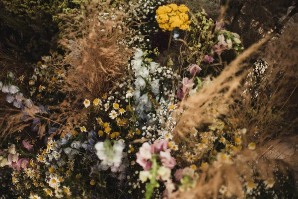 Kuru bir buket çiçeğin arkaplan resmi.