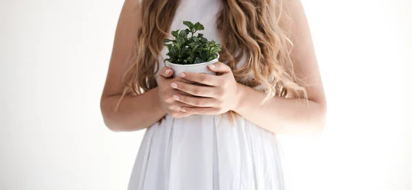 在白色背景上抱着花的女孩 那女孩紧紧抓住地面 这个女孩在家里移植了室内植物 亲概念 — 图库照片