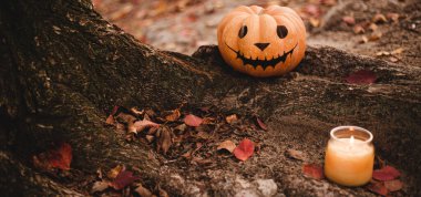 Mevsimlik Cadılar Bayramı, ağaca ve sonbahar yapraklarına balkabağı resmi çizer. Balkabakları çok güzel ve dekoratif. Ürkütücü bir olay için mükemmel..