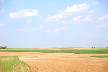 Kırsal kesimde geniş tarım arazileri görünümünü bahar.