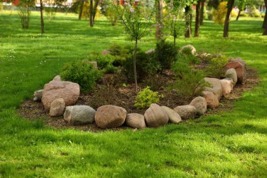 taşlar ve park çalıların dekoratif kompozisyonu