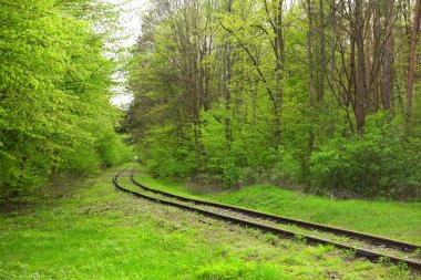 Old rusty railway track amid green forest with green trees in summer season  clipart