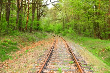 Eski paslı demiryolu yaz sezonunda yeşil ağaçlar ile yeşil orman ortasında izlemek 