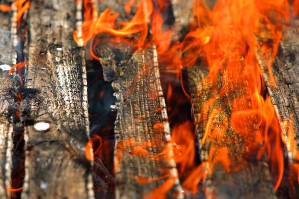 Огонь Является Явлением Природы Которое Превращает Горючие Материалы Тепловую Энергию — стоковое фото