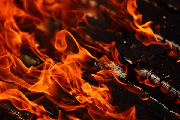 Огонь Является Явлением Природы Которое Превращает Горючие Материалы Тепловую Энергию — стоковое фото