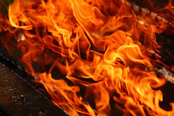 Tűz Jelenség Hogy Természet Minden Éghető Anyag Fordul Hőenergia Fény — Stock Fotó