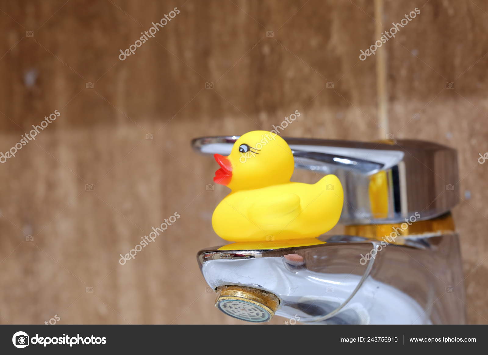 decorated rubber ducks