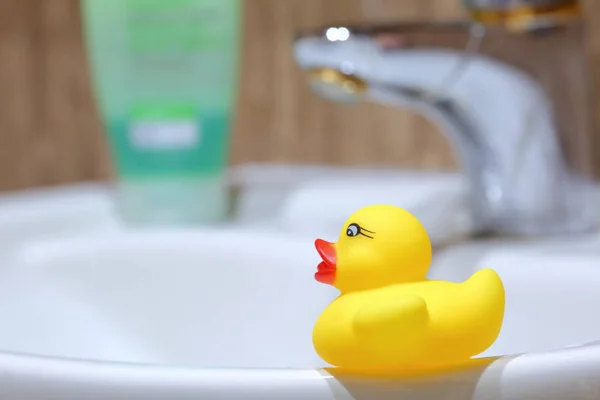 Pato Borracha Como Uma Decoração Interior Banheiro Perto Torneira Água — Fotografia de Stock