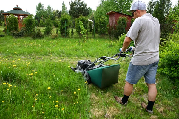 Man Cuts Lawn Combustion Mower Backyard Garden — Stock Photo, Image