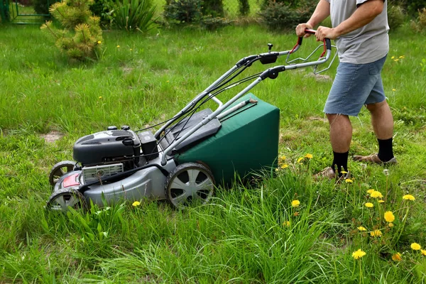 Man Cuts Lawn Combustion Mower Backyard Garden — Stock Photo, Image