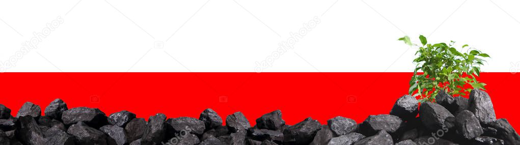 close-up shot of pile of coal with plant