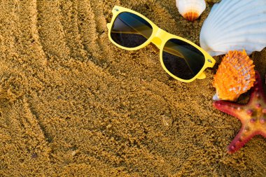 Kalemin üzerinde güneş gözlüğü var. Islak kumlu deniz sahili. Deniz yıldızı ve deniz kabukları kıyıda uzanıyor..