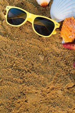 Kalemin üzerinde güneş gözlüğü var. Islak kumlu deniz sahili. Deniz yıldızı ve deniz kabukları kıyıda uzanıyor..