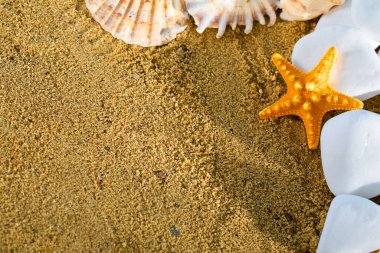 Kıyının hemen dışındaki beyaz yuvarlak kayalar gıcırdıyor. Sıcak ve güneşli bir tatil günü.